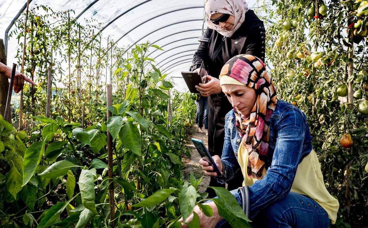 FAO forum urges wider access to agricultural innovation as 645 million face hunger